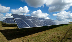 Solar panels for processing plant